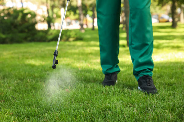 Best Residential Pest Control  in Vineyard, UT