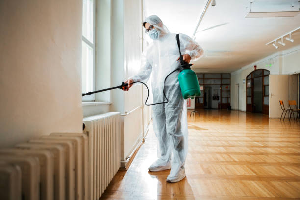 Best Mosquito Control Services  in Vineyard, UT